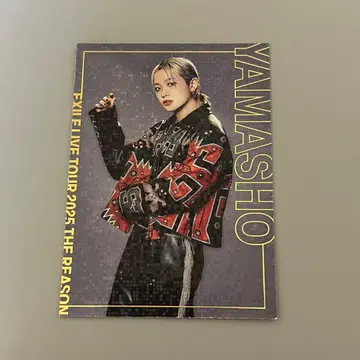 야마모토 쇼고 시크레