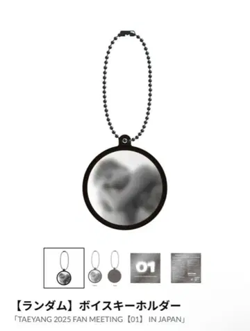 TAEYANG 보이스 키링 소리