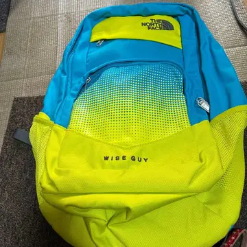 THE NORTH FACE 와이즈 가이 백팩