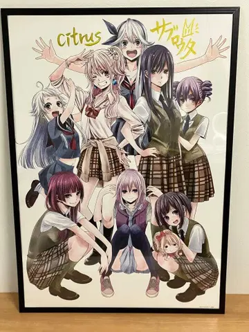 citrus 사부로타 친필 사인 B2 사이즈 포스터
