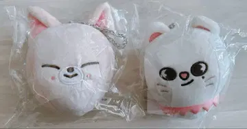 straykids 백참 Foxl.Ny/Jiniret