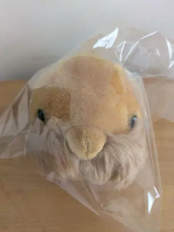 이세 파라다이스 바다코끼리 봉제 인형 수족관 봉제 인형 S 새상품