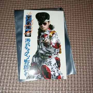 사오토메 히카루 더러움 없는 멍청이들 트레이딩 카드/구매 혜택