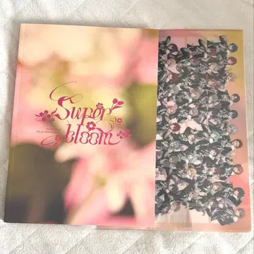 앙스타 스타포니 팜플렛 클리어 파일 포함