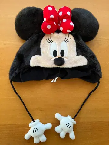 디즈니 미니 팬캡 디즈니랜드