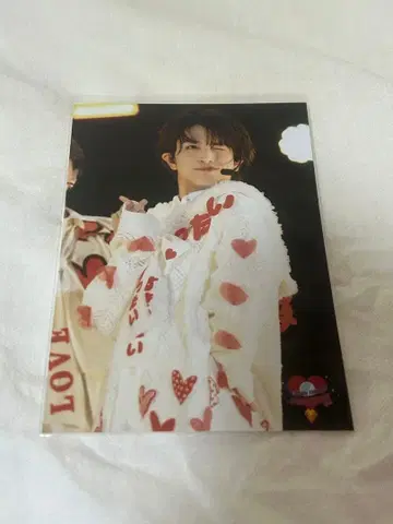 초특급 하루 브로마이드 카시와기 유우