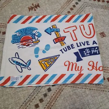 TUBE LIVE AROUND 2017 타월 미소구적