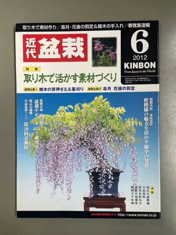 근대 분재 2012년 06월호