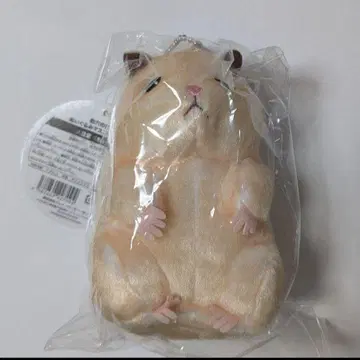 스케로쿠의 일상 스케로쿠 봉제 인형 마스코트 키링 zb1 한빈 L