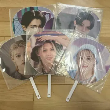 StrayKids 필릭스 부채 5개 세트