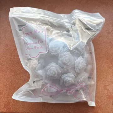 Snow Man Snow World 스타디움 응원봉 꽃다발