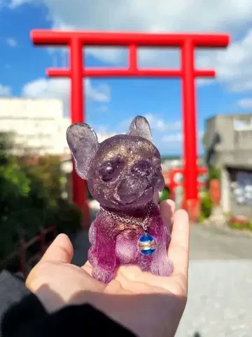 인기를 모아 목표 달성 성공의 강아지 오르가나이트