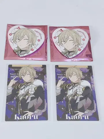 앙스타 스타포니 카오루