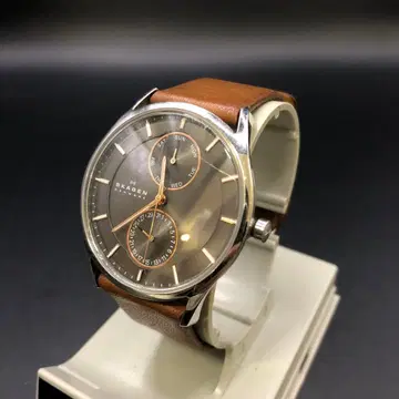 즉시 결제 SKAGEN 스카겐 손목시계 SKW6086