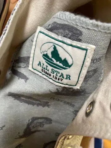 올스타 트라웃 29cm