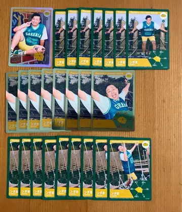 피셔즈  트레이딩 카드 묶음 판매