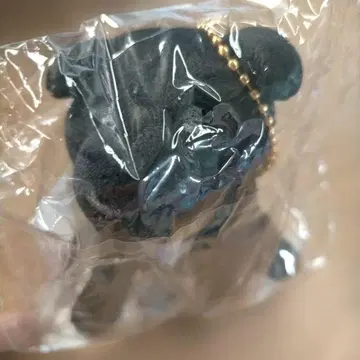 라게리에서 온 편지 쿠로 마스코트 니노미야 카즈나리 나카지마 켄토