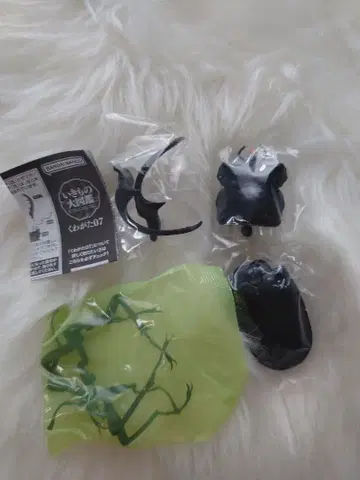 생물대도감 11개 묶음 판매