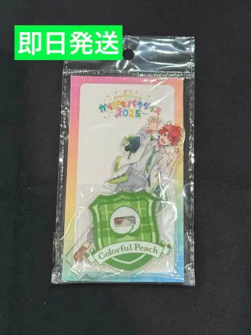 새상품 컬러풀 피치 아크릴 스탠드 카라피치 파라다이스 2025 쟝쟝