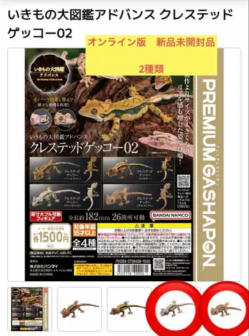 익명 배송 생물대도감 어드밴스 크레스티드 게코 02 2종류 온라인판
