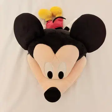 미키마우스 팬 캡