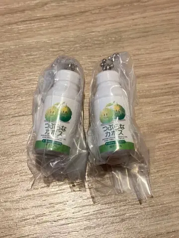 제이 에이 후즈 오이타 츠부라나 카보스 미니어처 참