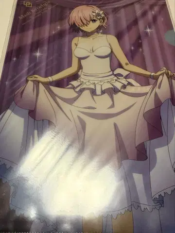 FGO 마슈 단품 클리어 파일 로손 Fate grand order