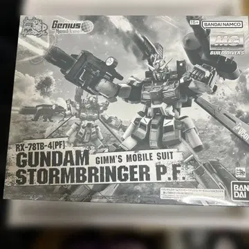 MG GUNDAM STORMBRINGER P.F.