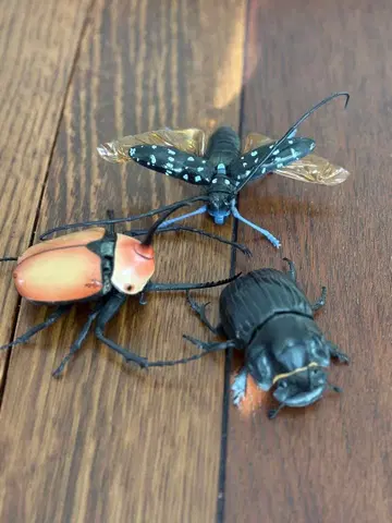 생물대도감 노코기리타테즈노 가부토 고마다라카미키리 다이코쿠코가네