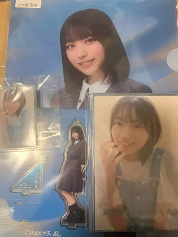 오노 마나미 신참자 히나타자카46 클리어 파일 엽서 아크릴 스탠드