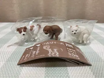 굼틀굼틀 3개 토이 푸들 포메라니안 잭 러셀