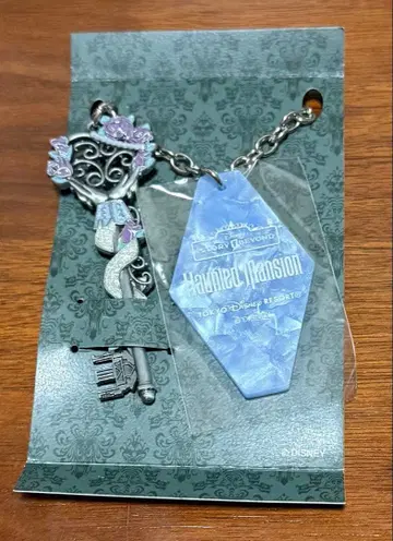 디즈니 스토리 비욘드 백참 네이비 스탠스