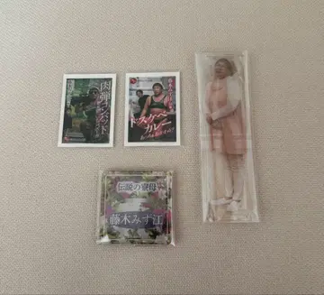 로버트 아키야마 크리에이터즈 파일 후지키 미즈에 아크릴 스탠드 스티커