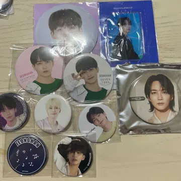 seventeen 세부치 정한 캔뱃지 굿즈