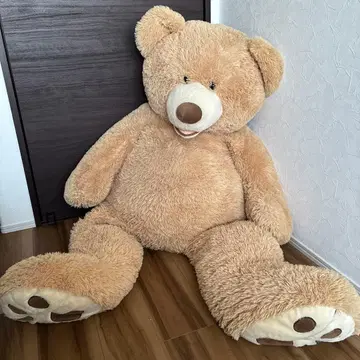 코스트코 곰 봉제 인형