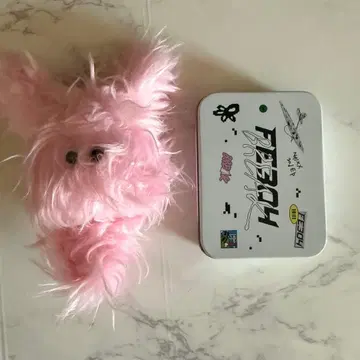 nmixx 모케모케 규진 엔믹 핑크 모케모케