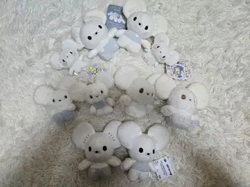 4세트 포켓몬스터 와카쥐 이카쥐