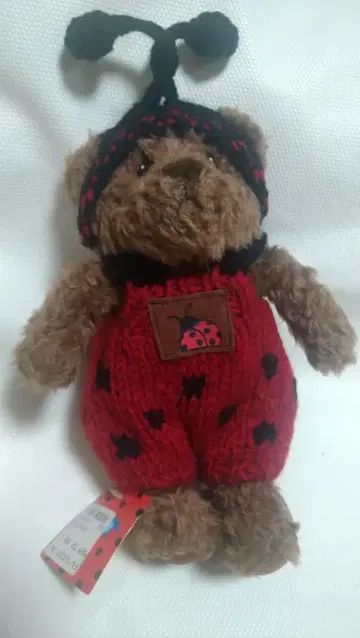 초레어 니키 무당벌레 곰 니트 봉제 인형 코720