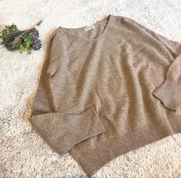 JOURNAL STANDARD relume 캐시미어 100% V넥 니트