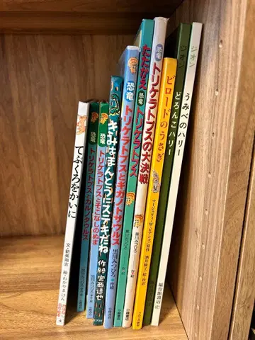 중고 그림책 묶음 판매