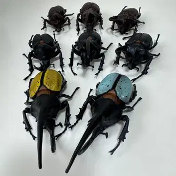 장수풍뎅이 피규어 대형 8체 세트