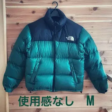 1990's THE NORTH FACE 눕시 다운 재킷 M