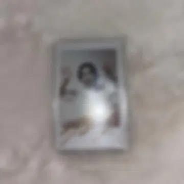 카미야 켄타 군 친필 사인 폴라로이드