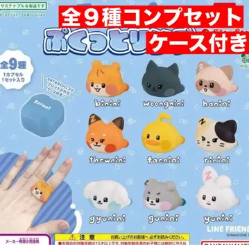 zeroni 제로니  반지 총 9종 컴프 세트