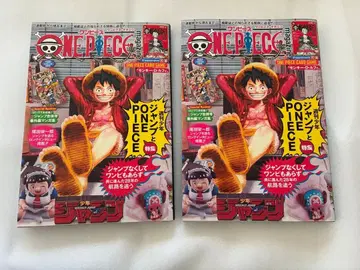 원피스 매거진 vol.20 2권 구매 상태 유지, 부록 카드 포함