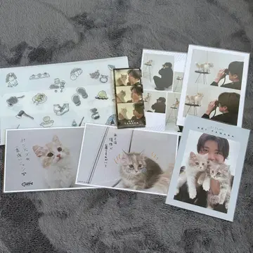 다나카 케이 어른의 휴일