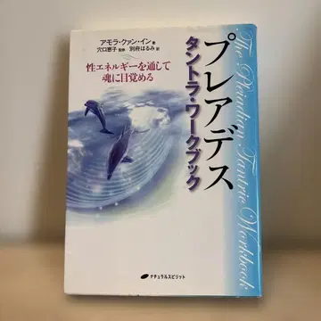 플레이아데스 탄트라 워크북 성 에너지를 통해 영혼을 깨우다
