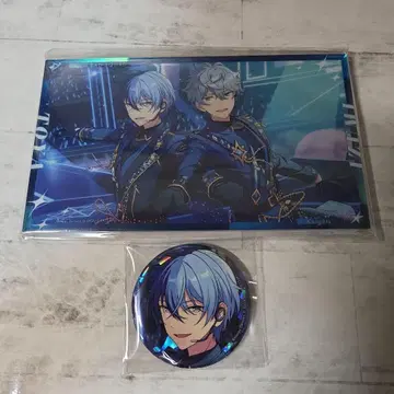 프로세카 아오야기 토야 앙스타 콜라보 2세트