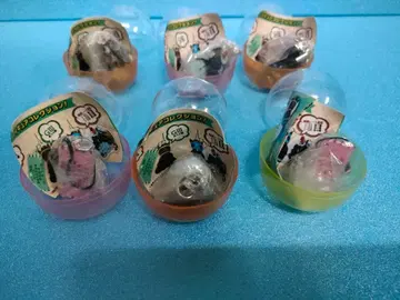 에프포리아 아카이토 등 아이돌 호스 미니 컬렉션 경마 봉제 인형