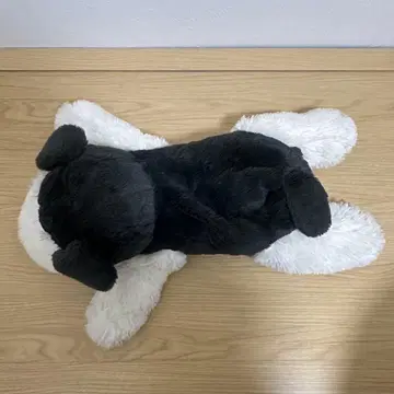 축 늘어진 슈나우저 누워있는 BIG 타르